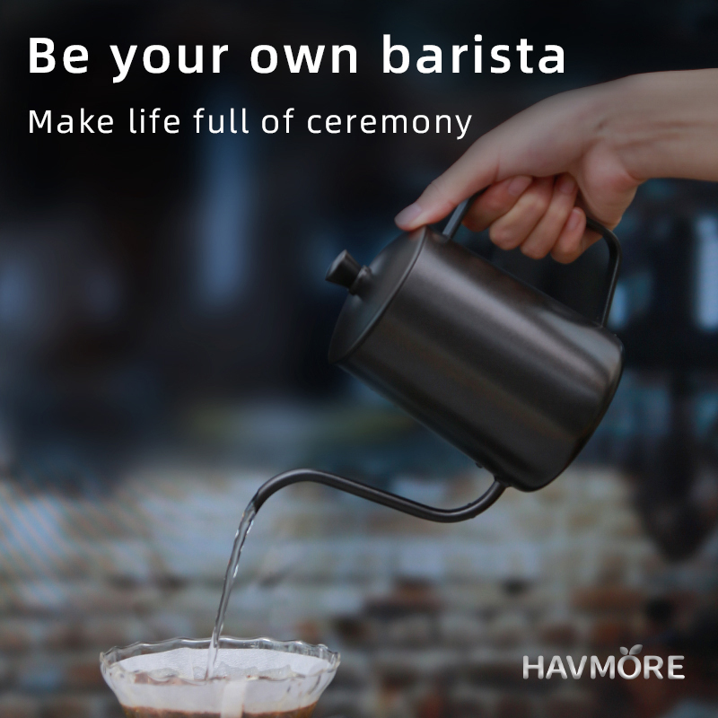 HAVMORE 304 스테인리스 스틸 티포트 핸드 브루 - Tea Coffee Utensils 리뷰 및 가격
