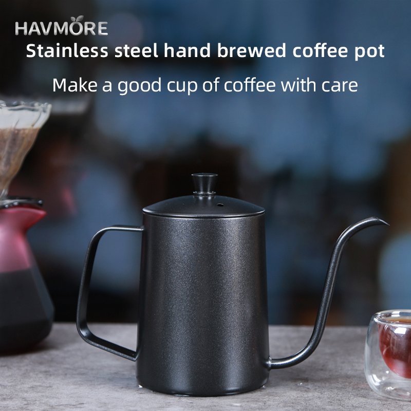 HAVMORE 304 스테인리스 스틸 티포트 핸드 브루 - Tea Coffee Utensils 리뷰 및 가격