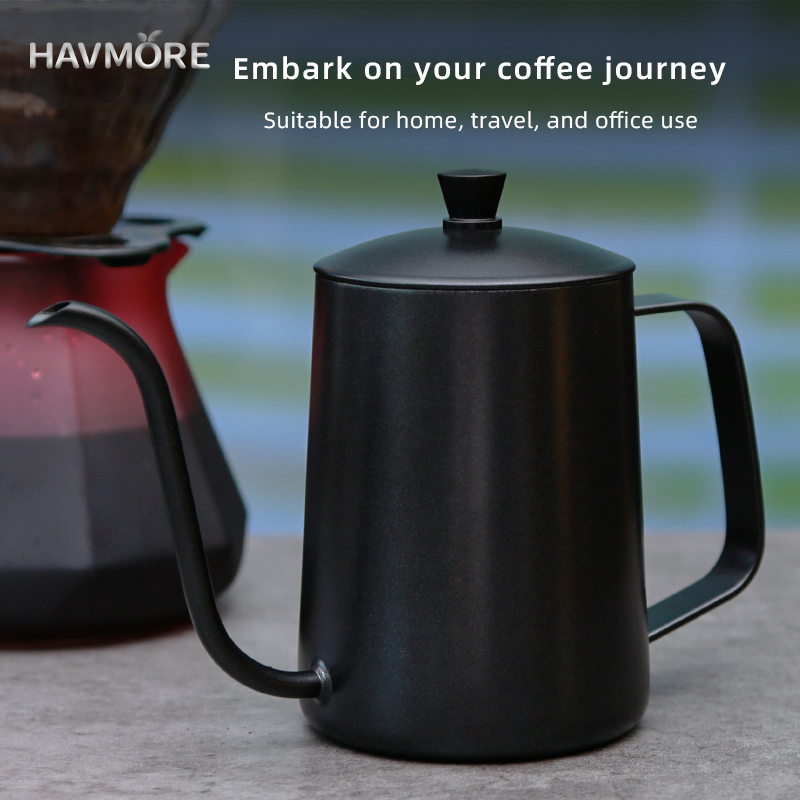 HAVMORE 304 스테인리스 스틸 티포트 핸드 브루 - Tea Coffee Utensils 리뷰 및 가격
